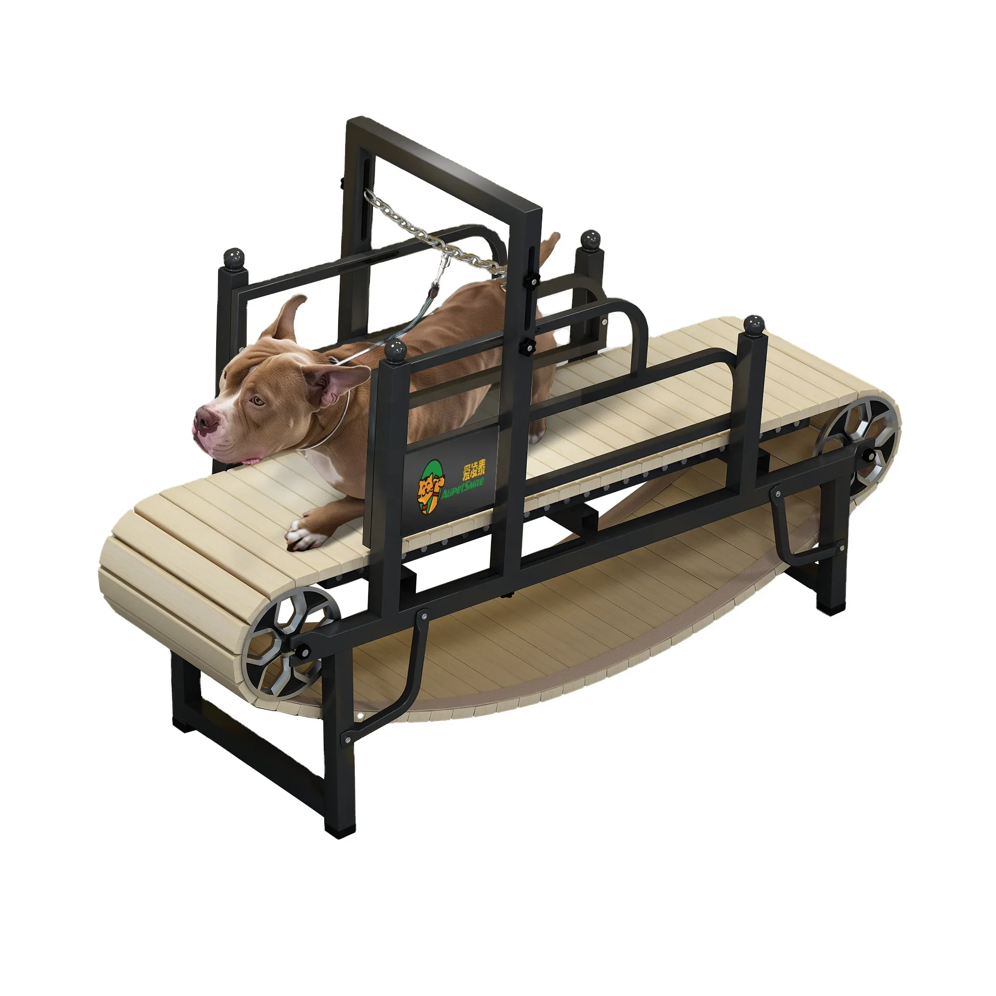 Economical Dog Running treadmill, animal sport training machine Pet  walking dog treadmill