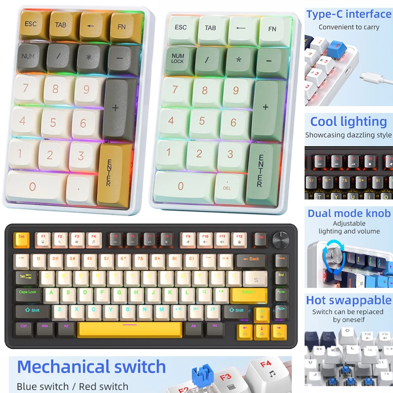 Wireless Mechanical Keyboard, Bluetooth/2.4Ghz/USB - Tpye C Connection, Colourful Lighting, Full Key Hot-Swap for PC Laptops