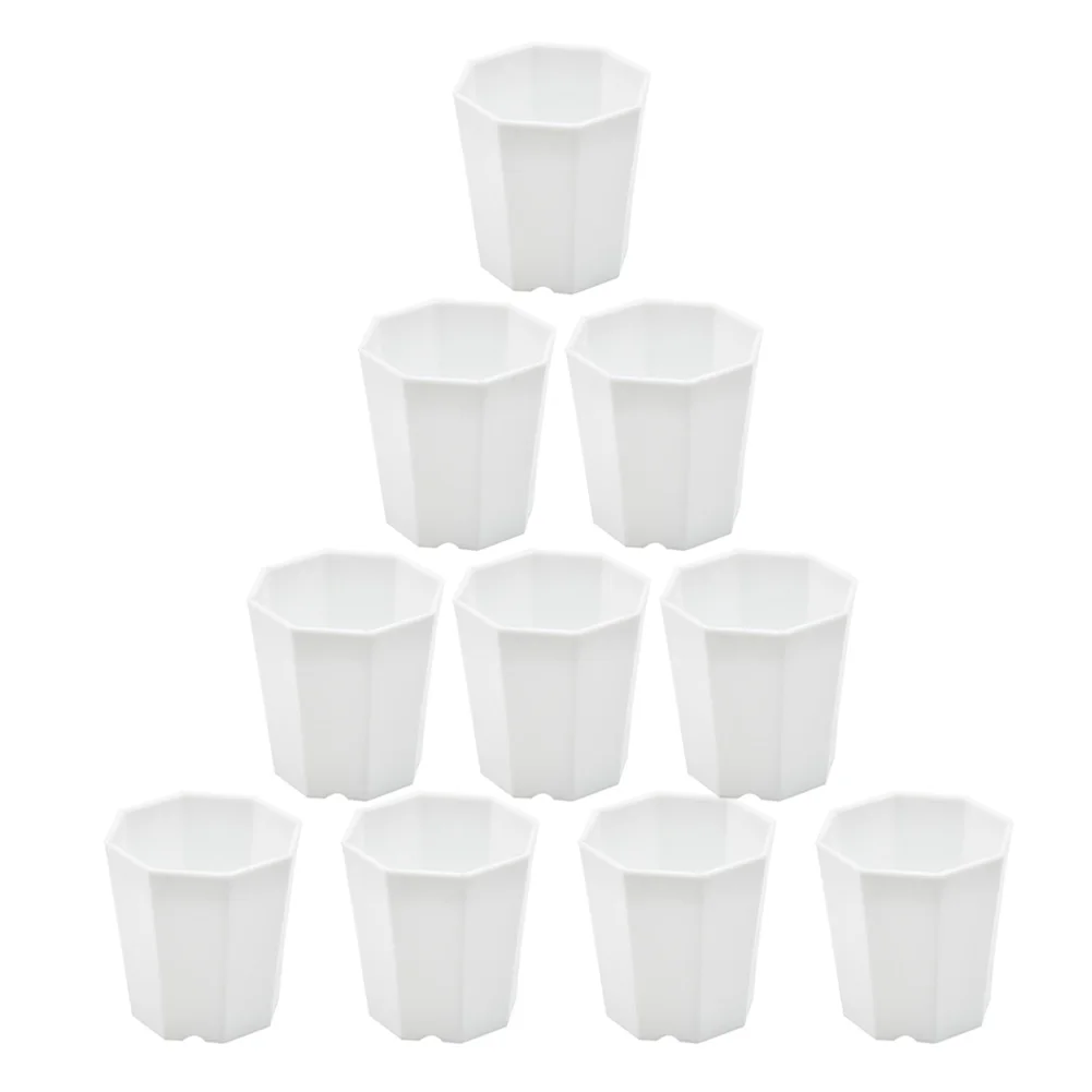 10pcs Plastic For Mini Plant Containers for Succulent Collections Cacti Displays and Propagation Projects with Drainage Base