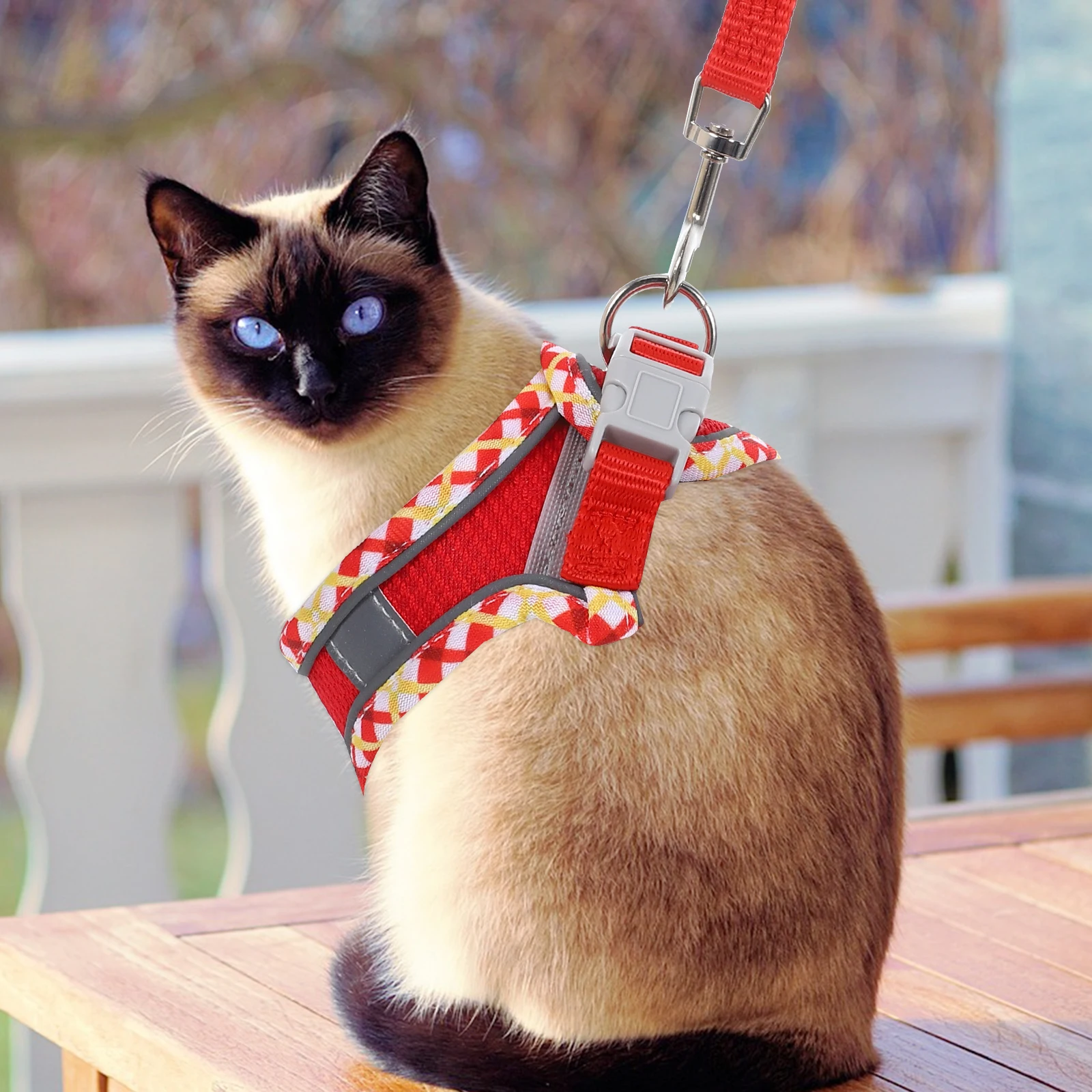 

Small Cat Harness Wear-resistant Adjustable Kitten Vest for Outdoor Activities Pet Leashes Heavy Duty Portable Accessory Dog