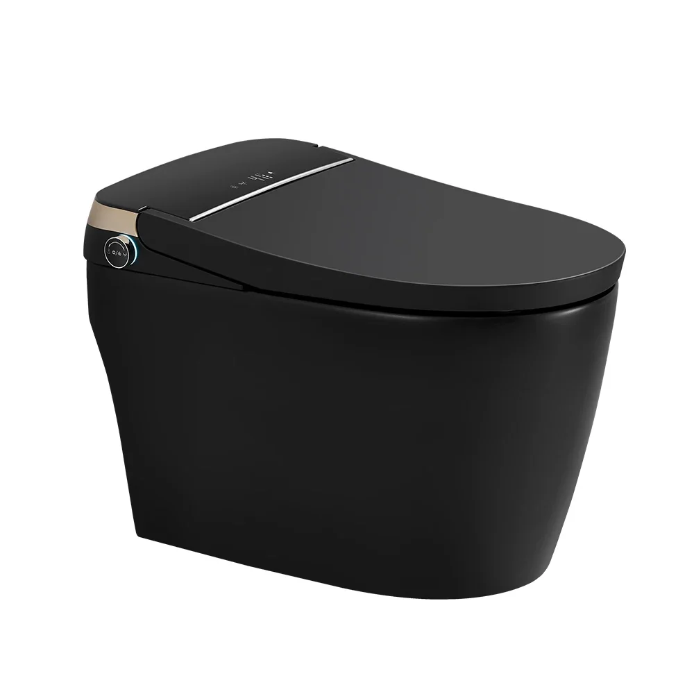 

Floor mounted luxury watermark black automatic smart toilet good price