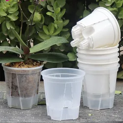 Maceta de orquídeas transparente con agujeros, contenedor de crecimiento transpirable de raíz de plástico, 5 piezas, Control de raíces