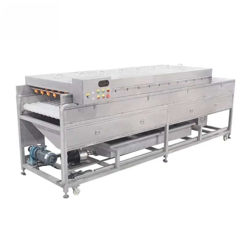Spray Fruit Washing Machine Industrial Vegetable Washer Machine Apple Washing Machine with Recyle Water