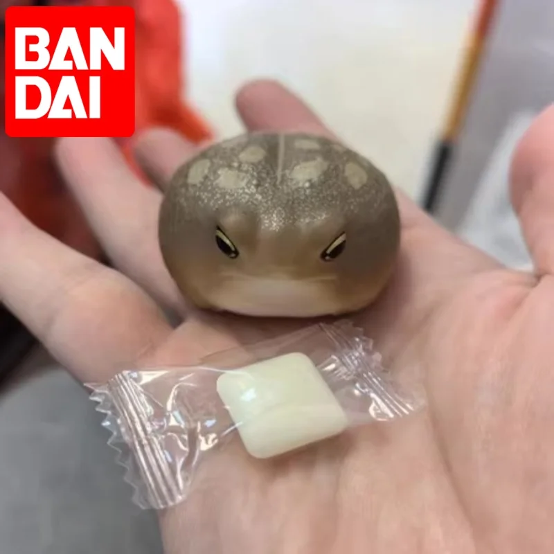 

New Bandai Brand Hot Genuine Simulated Animals Eublepharis Macularius Ambystoma Mexicanum Animal Hand Figure Tabletop Decoration
