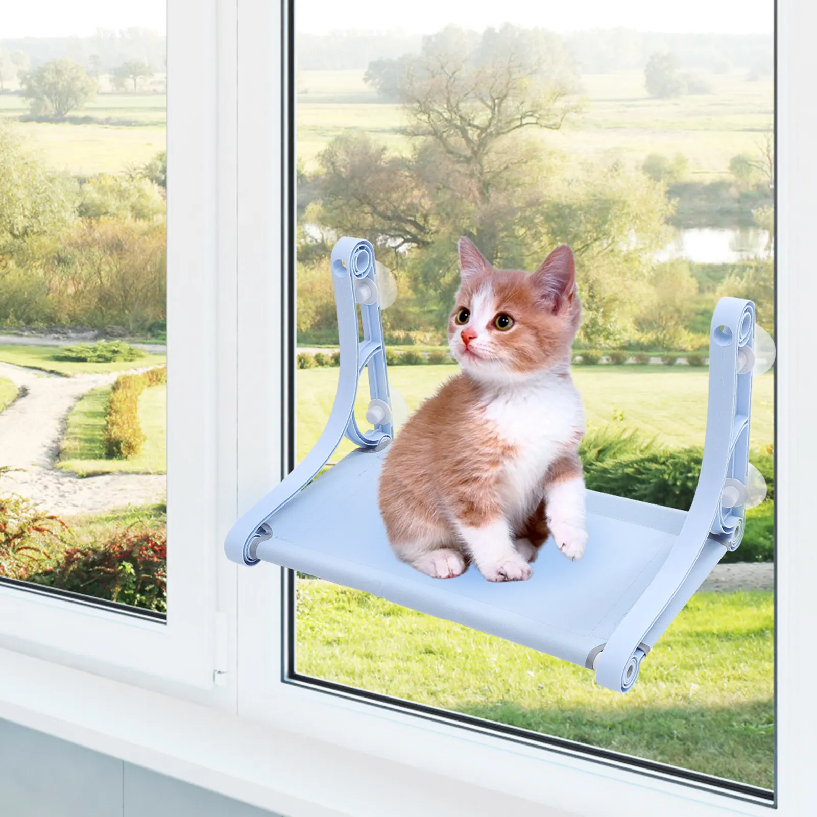 amaca-per-gatti-da-finestra-con-ventosa-materiale-sicuro-facile-da-pulire-portatile-cuccia-sospesa-per-gatti-accessorio-per-animali-domestici-montabile-su-finestra
