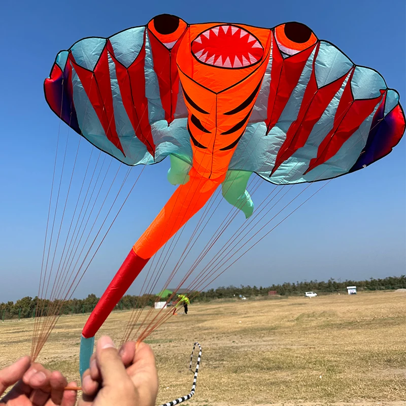 3D 12.5M 2-color Ray Soft Kite Outdoor Beach Professional Kites Umbrella Cloth Waterproof and Tear Resistant Inflatable Kite