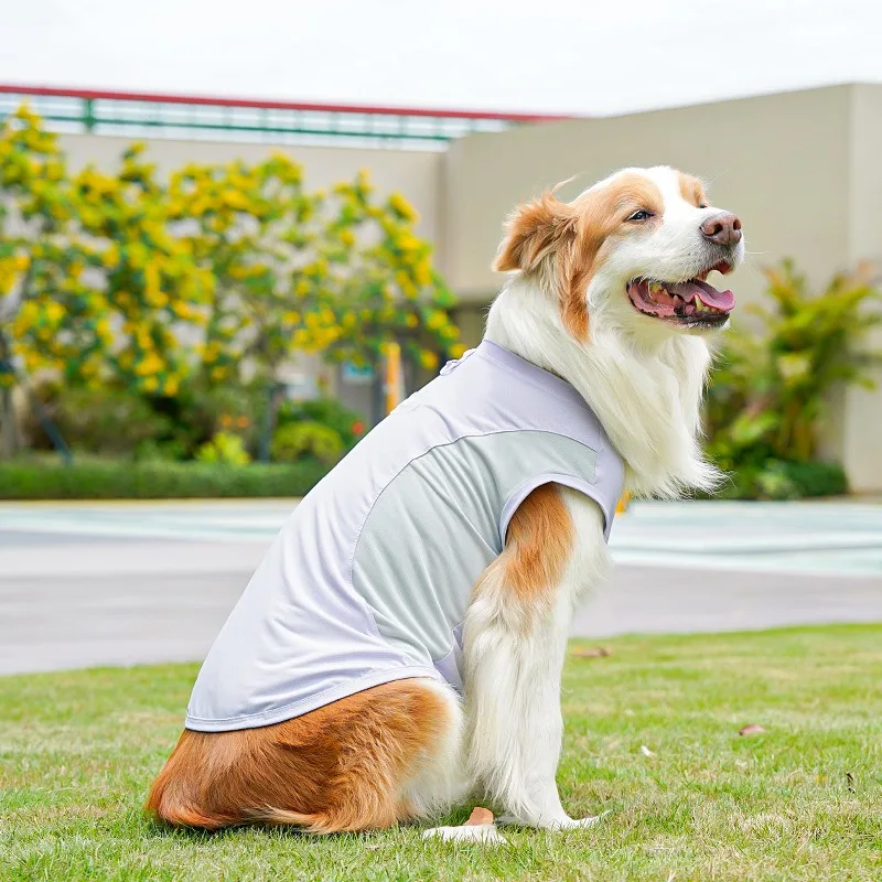 

Big Dog Summer Vest Breathable Dog Clothes Border Collie Ice Silk T-Shirt Golden Retriever Pullover with Leash Buckle
