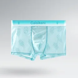 Breathable Ice Mesh Boxer Briefs