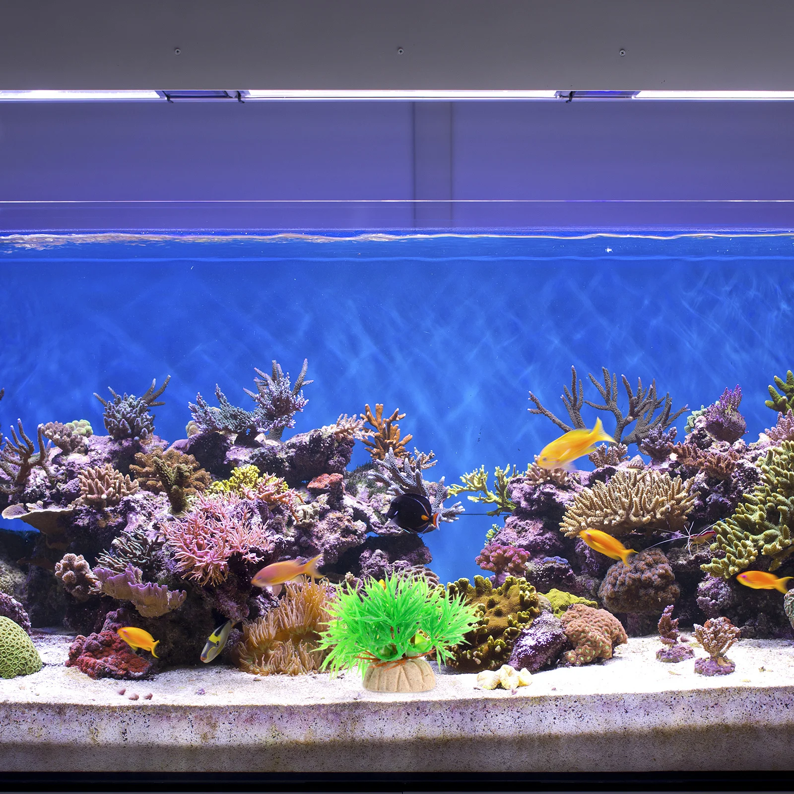 

15Pcs Artificial Aquarium Plants Green Simulation Fish Tank Decor Landscape Ornament for Fish Hiding Playing Aquarium Plants