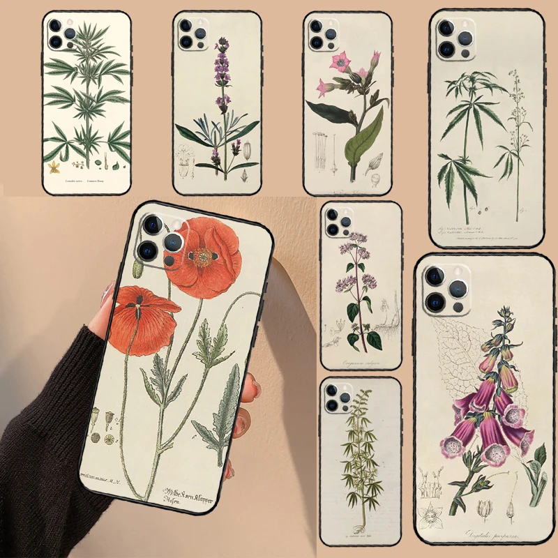 Botanical Drawings Flowers Phone Case For iPhone 15 14 16 Pro Max 13 12 Mini 11 16 Pro Max XS X XR Plus Cover