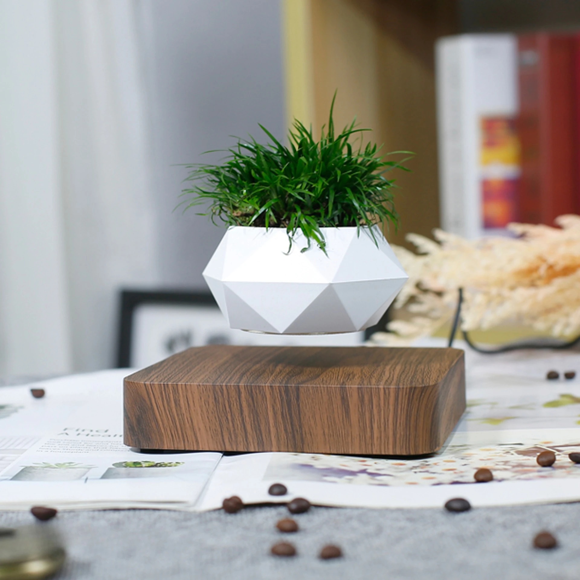 Living Room Home Decoration Internet Creative Handicraft Plant Bonsai Wholesale Maglev Pot Flower Pot Green Plant