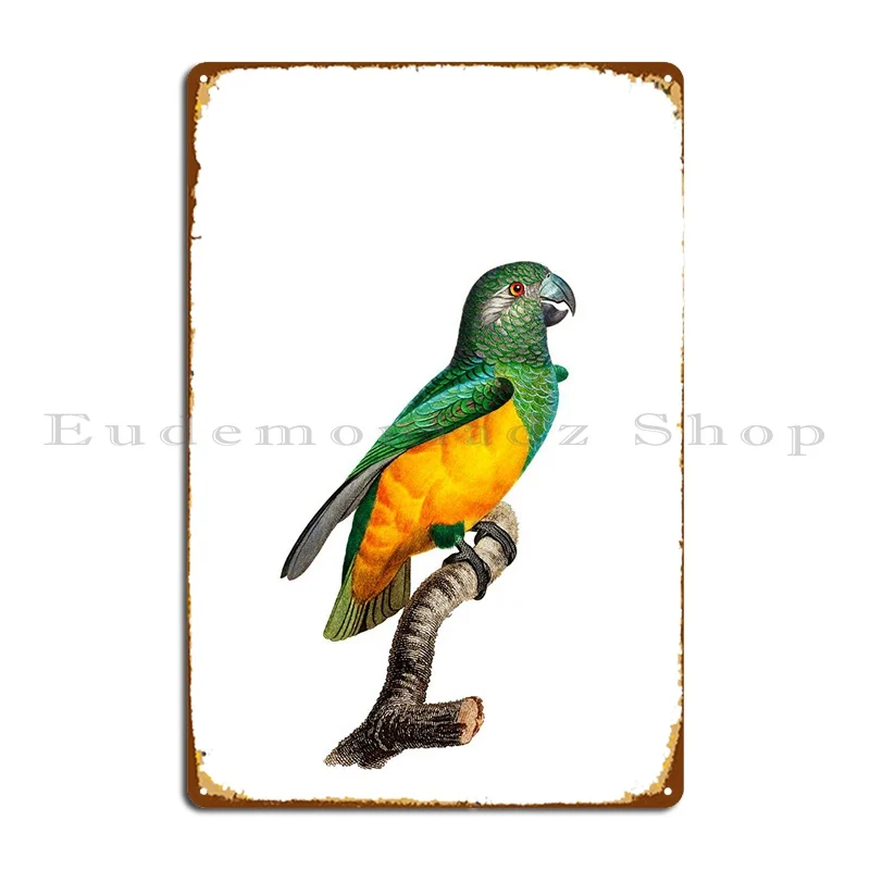 Exotic Senegal Parrot Bird Metal Sign Decoration Design Garage Cinema Bar Tin Sign Poster