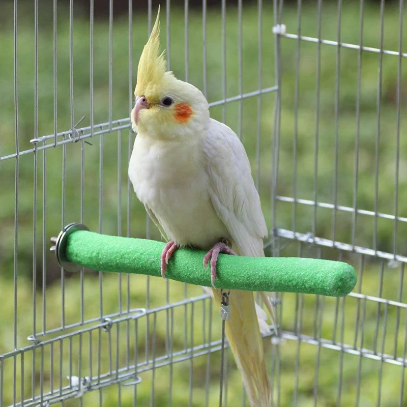 Perchoirs interactifs pour oiseaux, perchoirs pour perroquets, perruche, calopsitte, supports de cage à oiseaux, jouet d'entraînement, 5 pièces