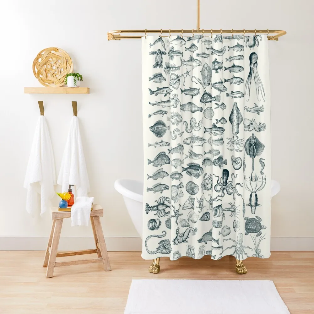

Sea Creatures Shower Curtain Bathroom Shower Set Modern Showers For Bathroom Bathroom Box Curtain