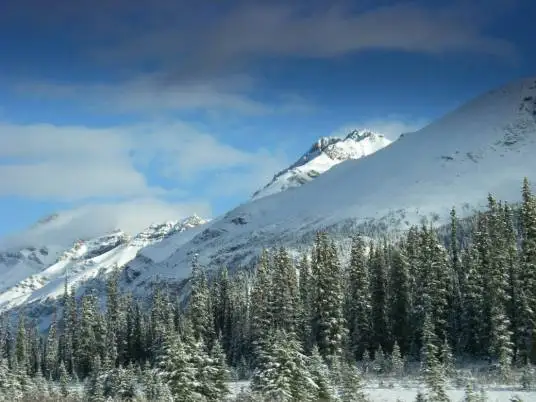 

Racing Tires 4PCS 78*30mm 12mm Adapter for 1/10 RC Model Rally Car