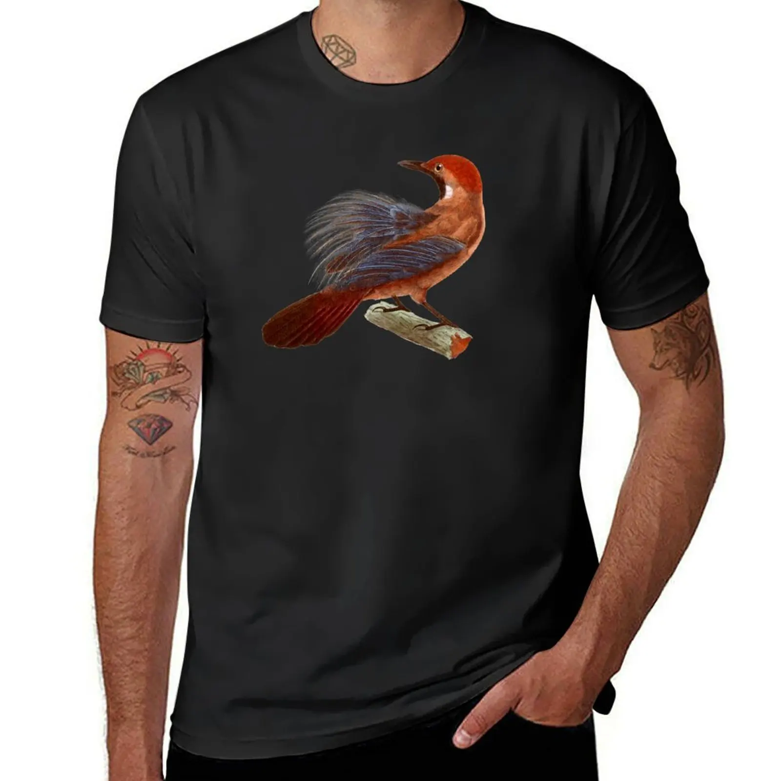 Sassy bird illustration of a Fluffy-backed tit-babbler T-Shirt Louboutins graphics t shirts for men