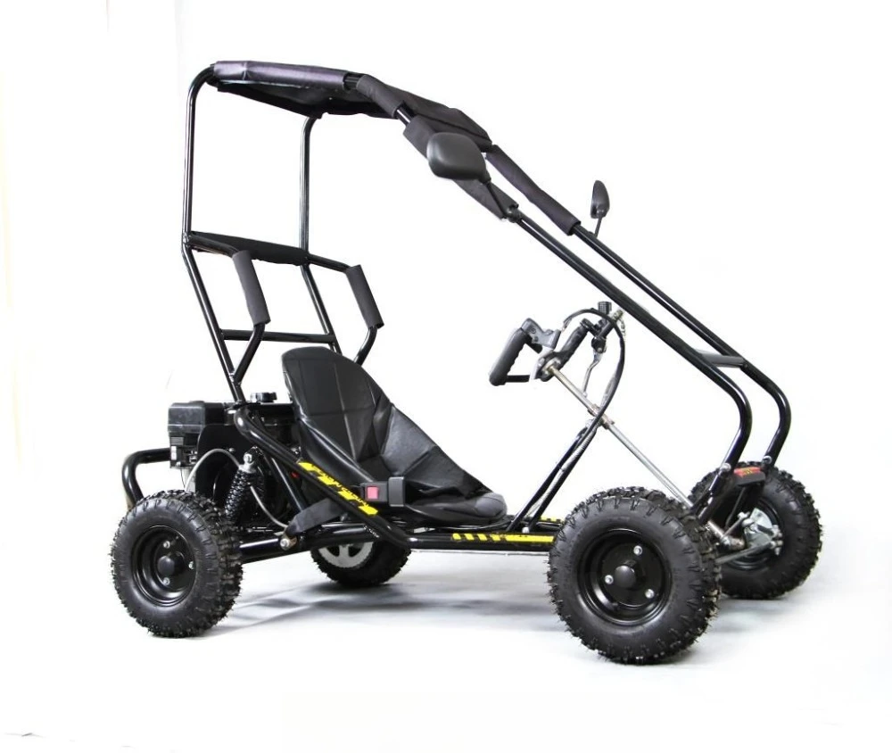 Kart 196cc Motor Mountain Kart Kraftstoff Power Freizeitkart