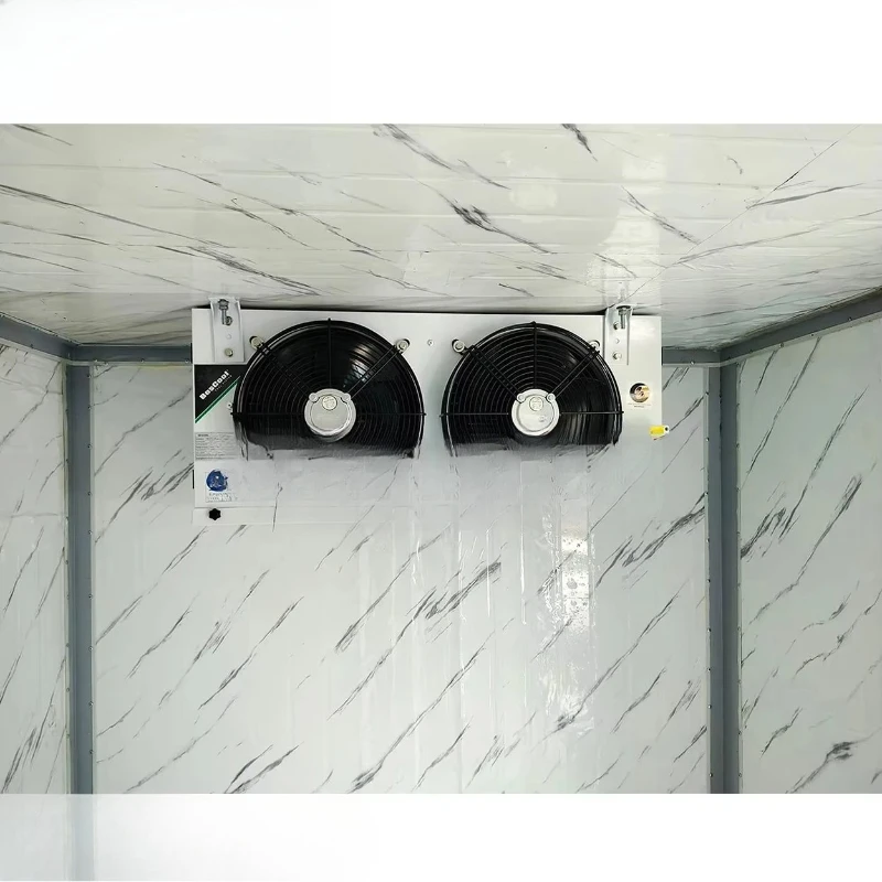 

Energy-efficient ceilings install air coolers with new evaporation technology for cold room storage