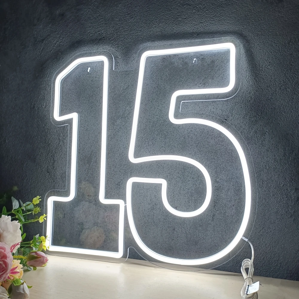 50x50cm Led Neon Number 15 Sign for 15th Birthday Decorations Dimmable Neon Light for Wall Hang Anniversary Party Lights Large