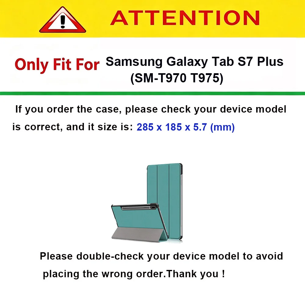 Case for 12.4