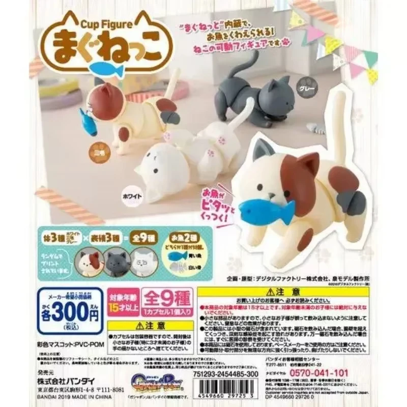 Gashapon Capsule Toys Cute Cat Dolls Joints Movable Mini Figurine Table Ornaments Children Birthday Gifts Figure Accessories