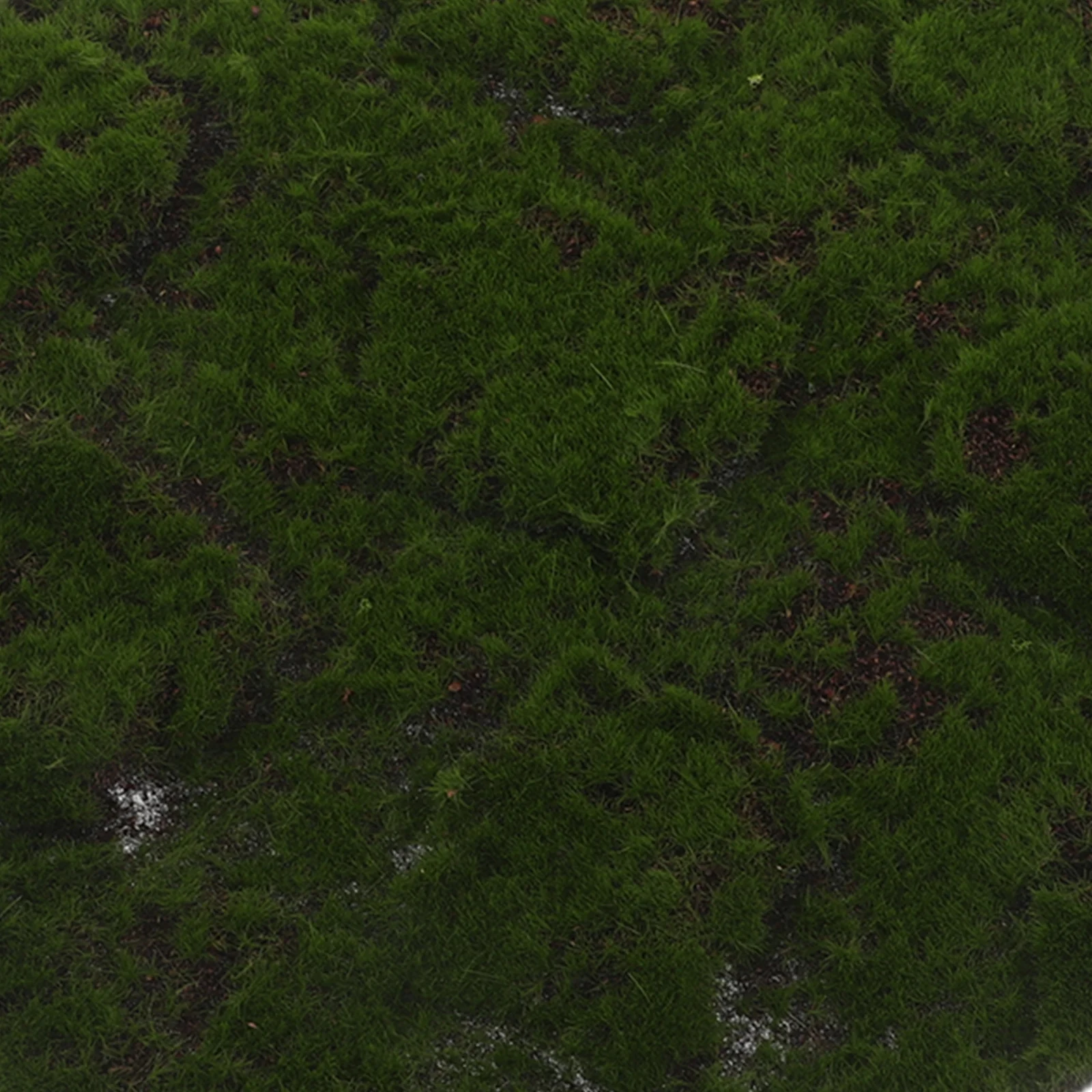 Artificial Moss Mat Carpet Simulation 12x12 Inch Fade Resistant Moss Grass Rug for Balcony Terrace Indoor Decoration Landscape