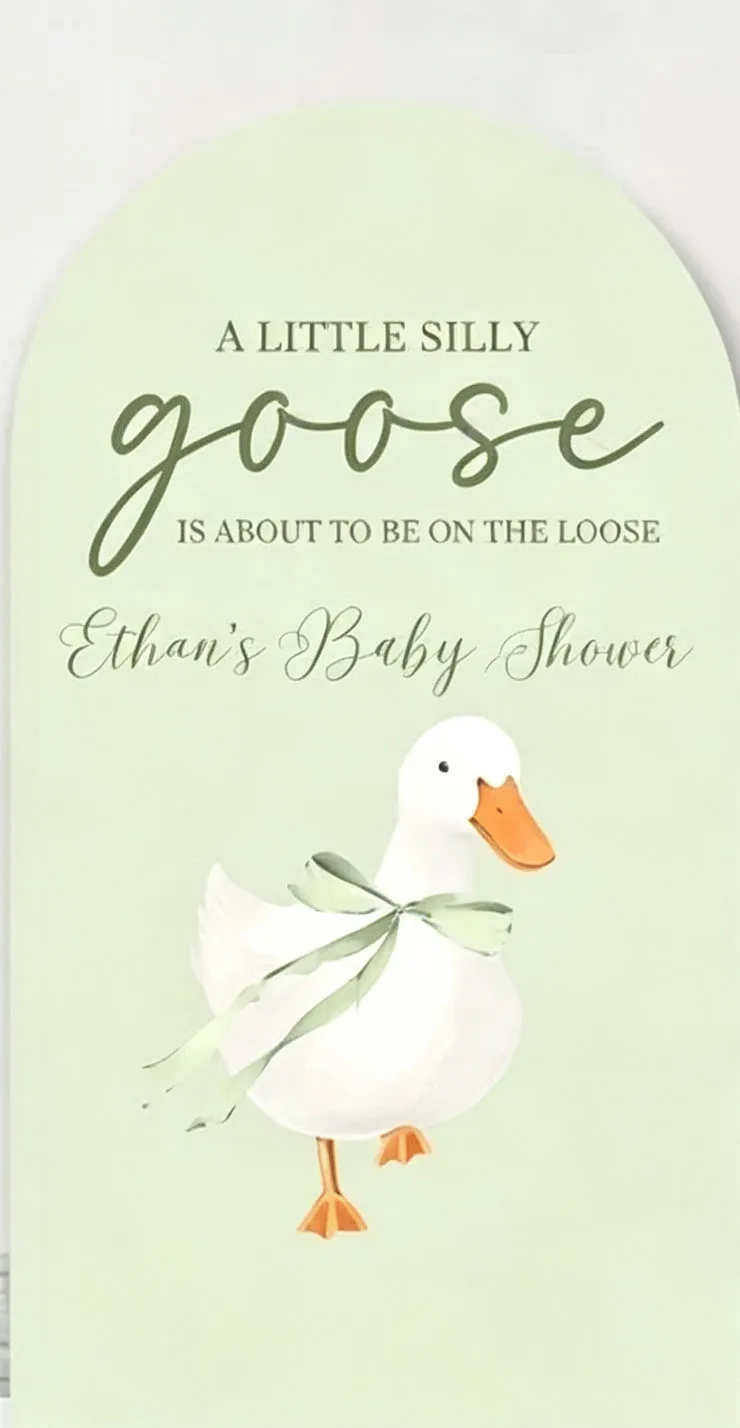 Custom 2-Side A Little Silly Goose Is About to Be On The Loose Baby Shower Arch Backdrop Cover  Green Gingham Birthday Party