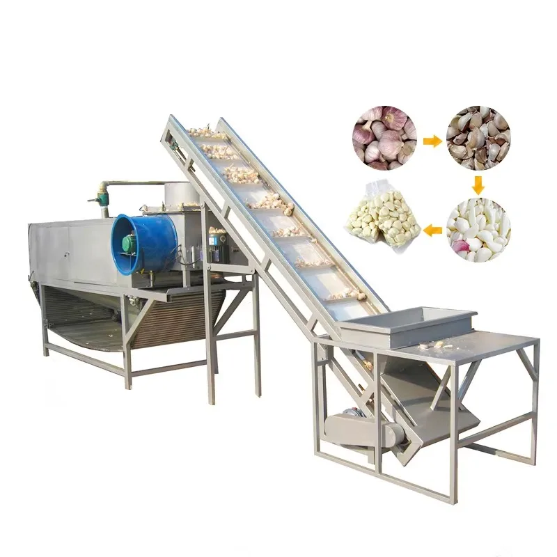 Customized Compact Automatic Mini Garlic Peeler Equipment