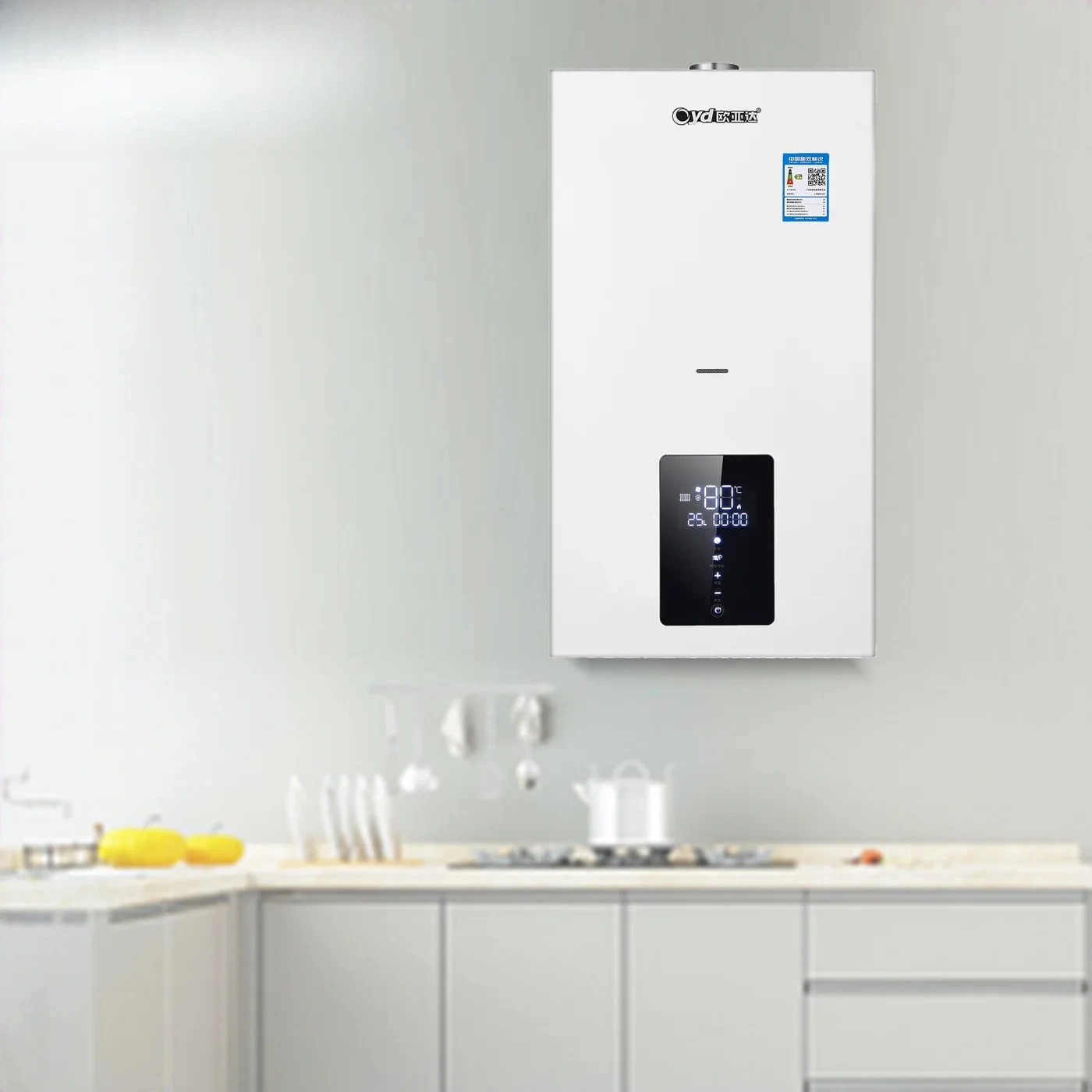 جهاز تسخين غلاية الغاز، دائرة مزدوجة مع التحكم في التطبيقات، سعر معقول لغلاية الغاز في السوق الأوروبية