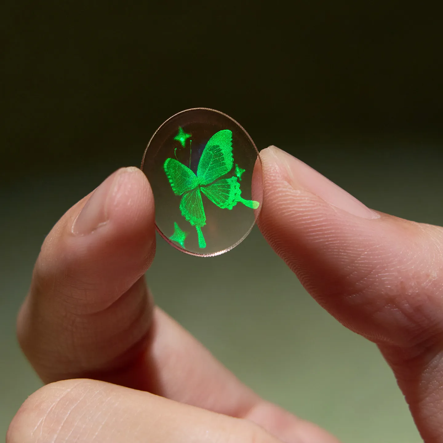Photo holographique 3D papillon à l'effet œil-nu : un cadeau de niche, haut de gamme, créatif, artisanal et une mini-ornementation