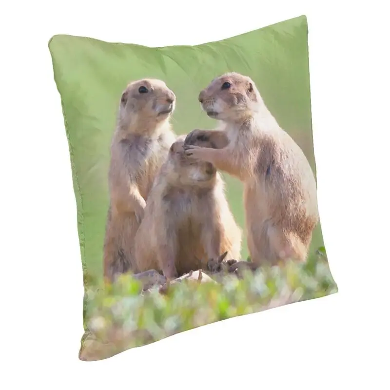 Watercolor Prarie Dog Cushion Cover 40x40cm Home Decorative Printing Head Massage Throw Pillow Case for Living Room Double Side