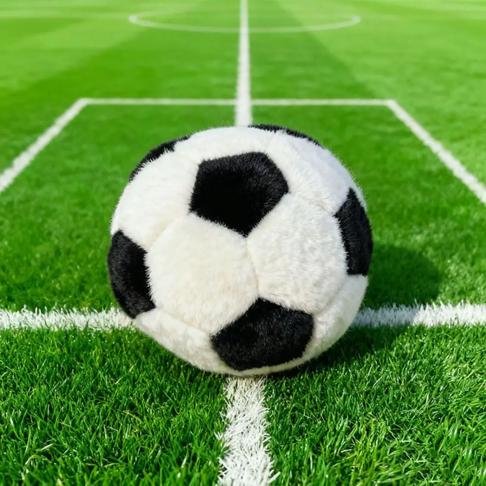 Gift Fuzzy Soccer Ball Multicolor Indoor Games Soft Sports Ball Interactive 20cm Football Play