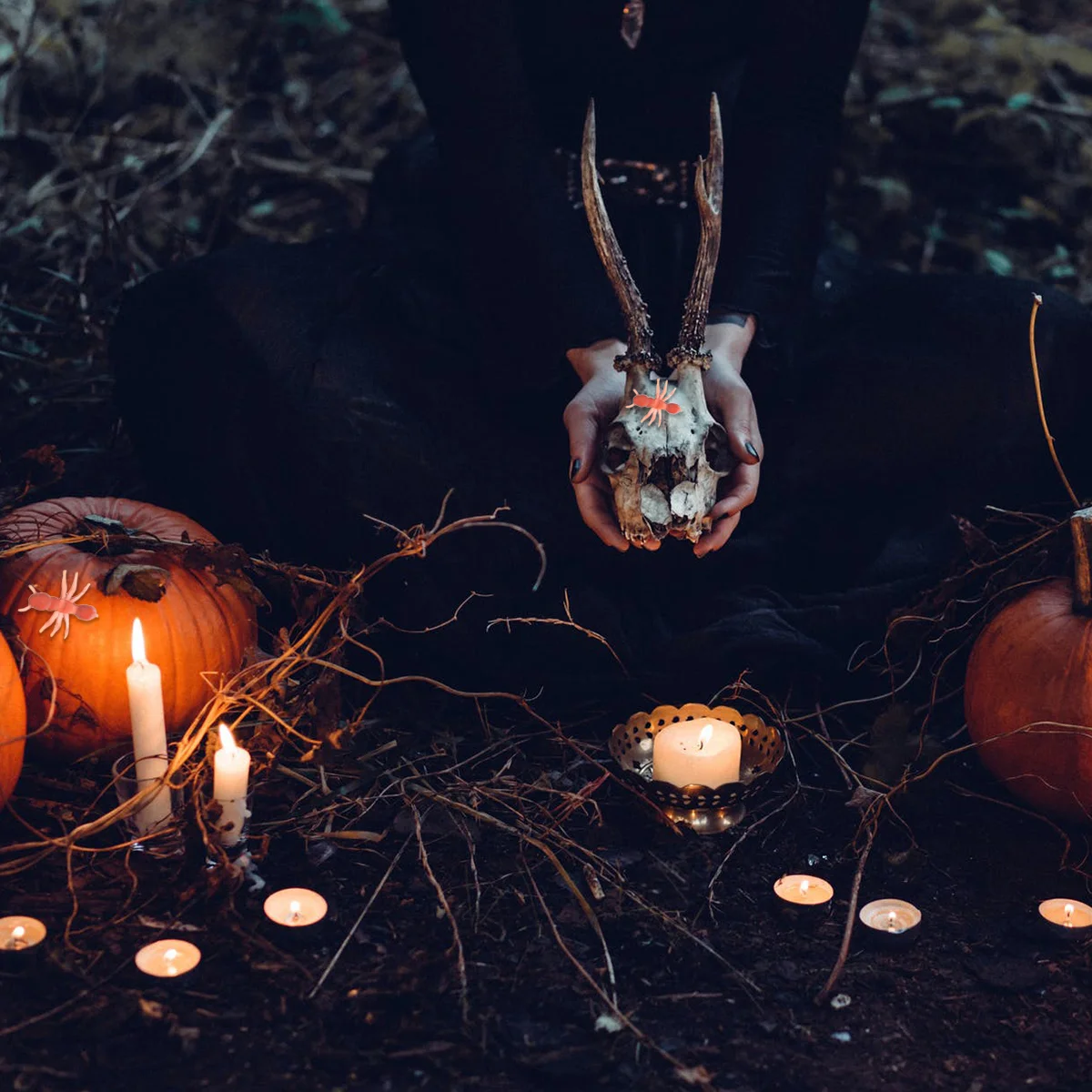 Colonie de fourmis pour enfants, jouets de simulation d'insectes, farce d'Halloween délicate, 50 pièces