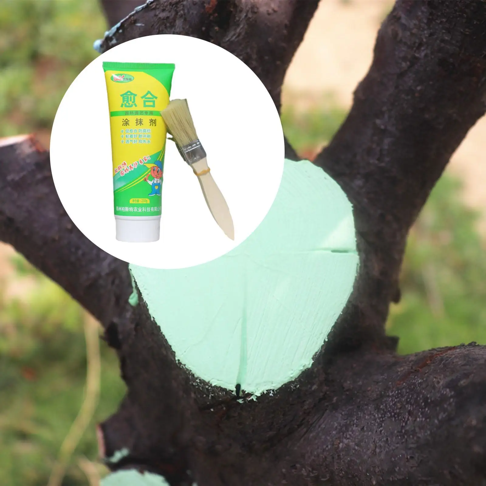 

Tree Pruning Sealer 250G Ready to Use Convenient Tree Dressing with Brush Seal