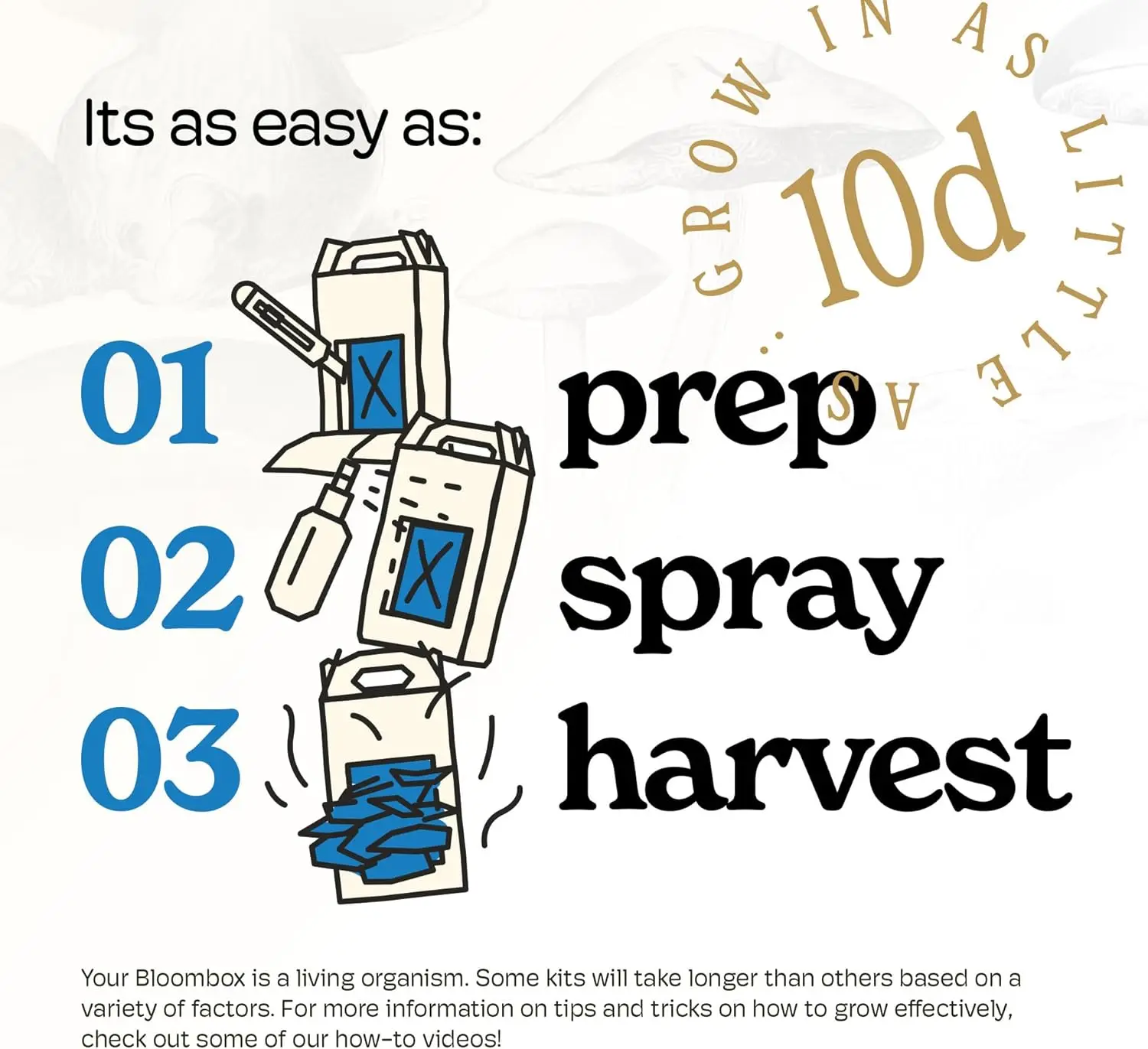 مجموعة أدوات نمو فطر المحار الأزرق |   ازرع فطر الذواقة الطازجة الخاصة بك في المنزل |   أطقم زراعة الفطر الصالحة للأكل هدية رائعة