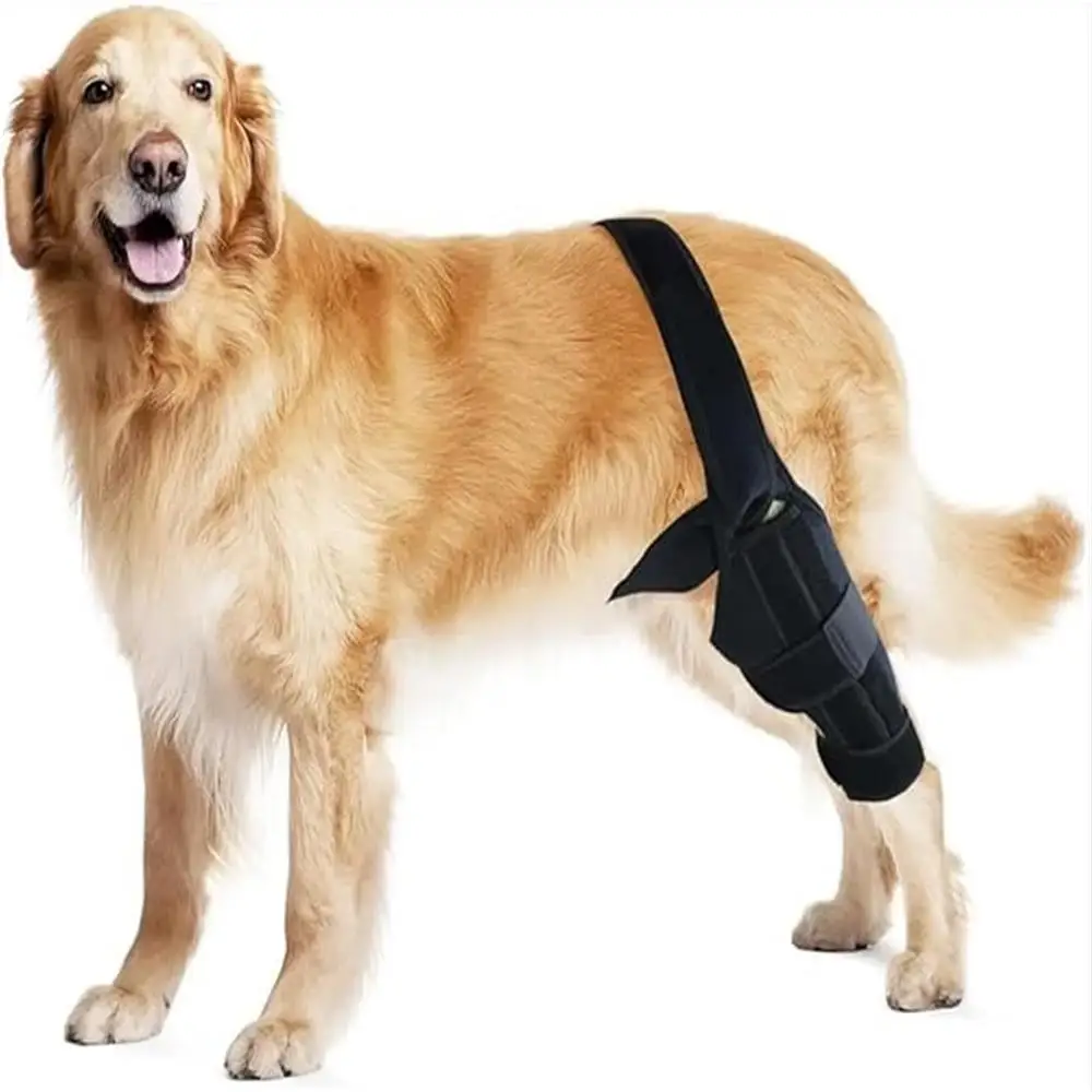 Dog Knee Support for Injury Recovery  Adjustable Hind Leg Brace Offering Optimal Comfort and Stability for dog