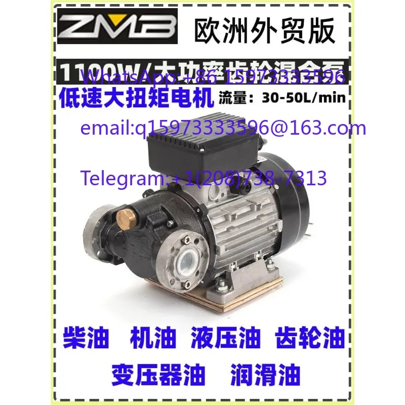 Electric Suction Gear Pump 220V High Viscosity Engine Hydraulic Edible Oil Industrial Transfer Pump
