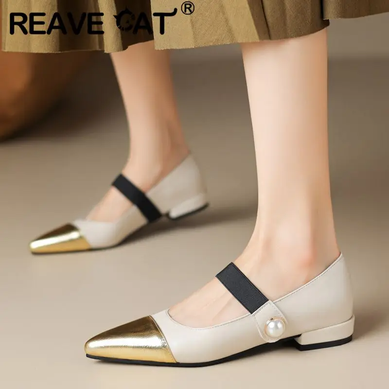 REAVE CAT Female Soft Flats Pointed Toe Slip On Mixed Color Shallow Size 42 43 Fashion Daily Women Shoes Autumn