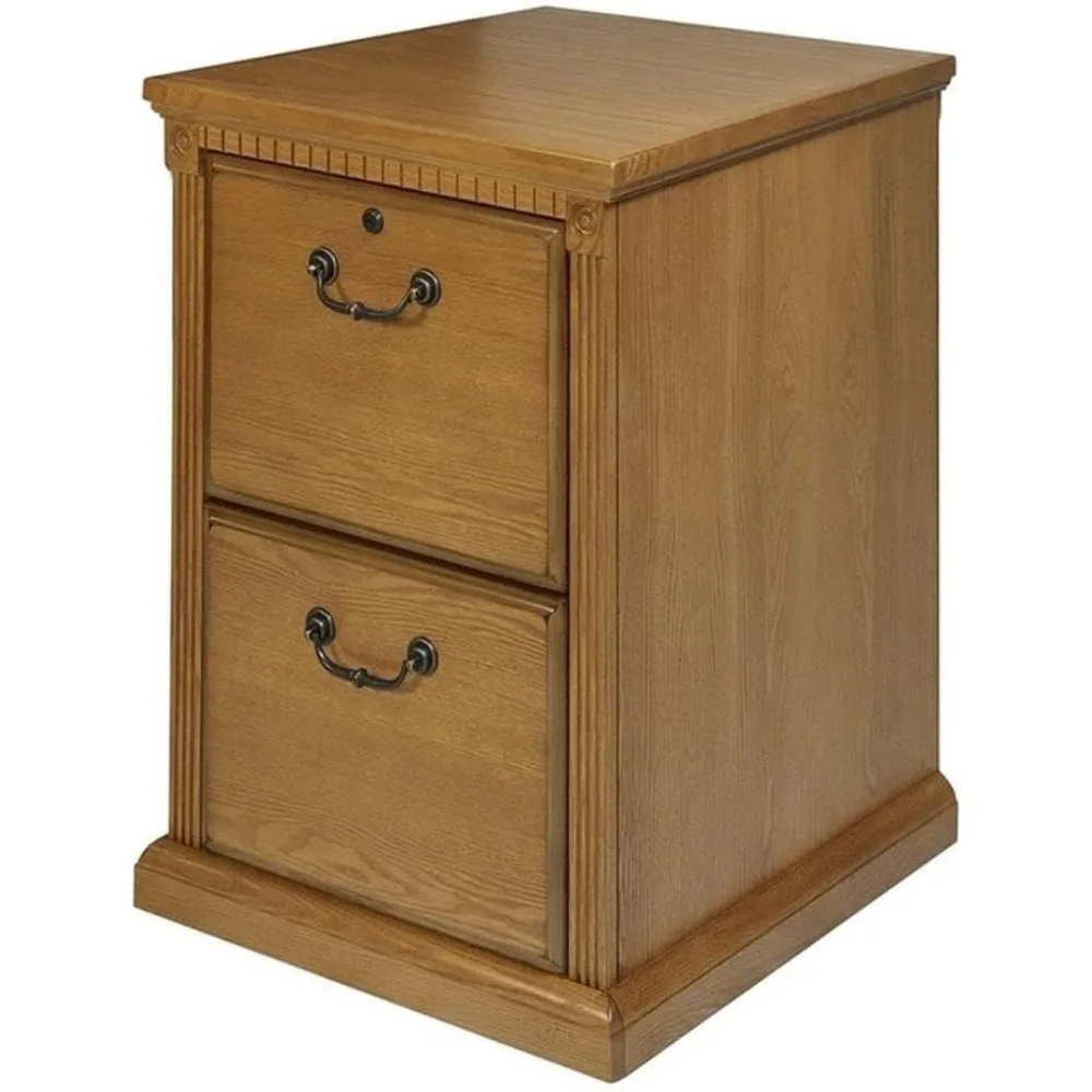 

Современный деревянный шкаф для документов с двумя ящиками, натуральный