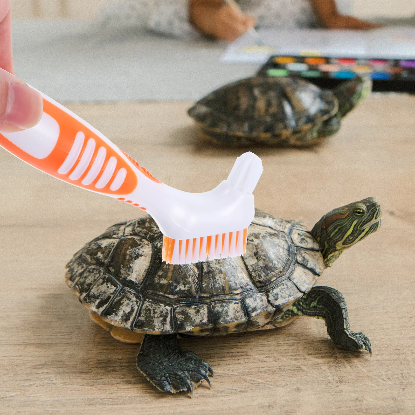 

Turtle Shell Cleaning Brush Double-Sided Premium Plastic Handle Nylon Bristles Dense Flexible For Turtle Shell Gap Clean