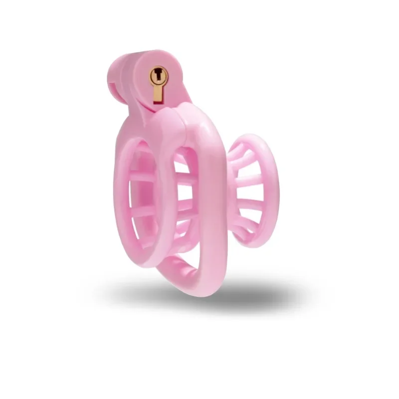 Cerradura de castidad rosa para hombre, Dispositivo de Castidad antitrampas, jaula para el pene con cuatro anillos de tamaño, erótica Gay, 18 + 대 정대, novedad de 2024