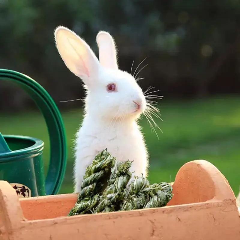 Juguete para masticar conejo de hierba Timothy, piezas hecho a mano, juego de animales pequeños, molares, palo de hierba para conejos, hámster, conejillos de indias