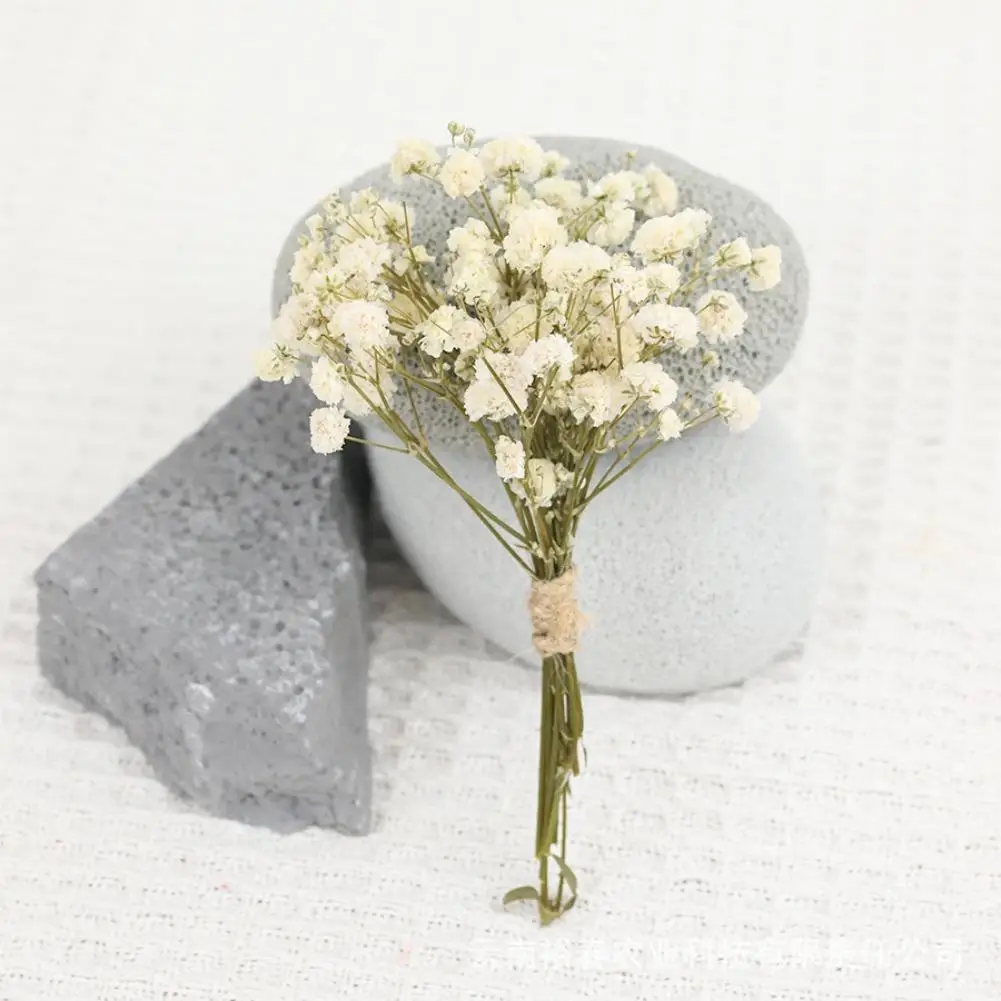 DIY Bunga Abadi Kreatif Bunga Kering Gypsophila Rangkaian Bunga Bunga Kering DIY Dekorasi Rumah Pernikahan Hadiah 50 Buah