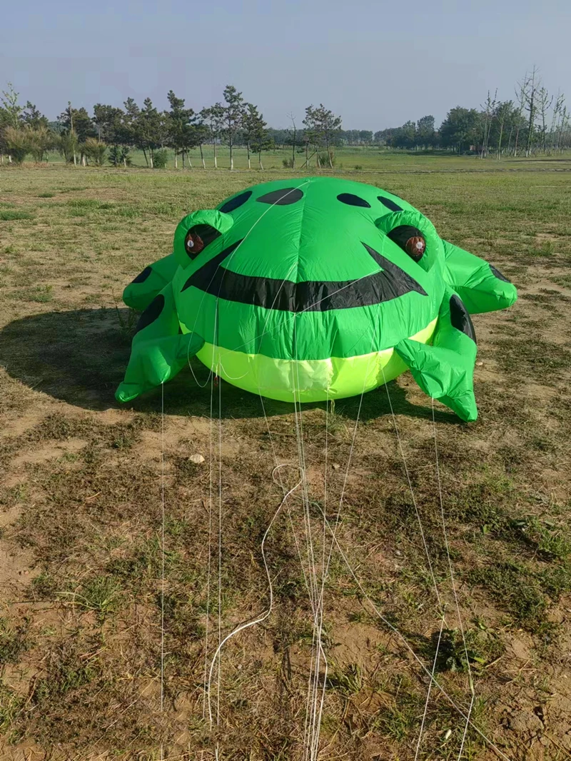 Frete grátis novos pipas infláveis pingente grande pipa windsocks pipas macias voando adultos pipa 3d fábrica de pipa voando dragão koi