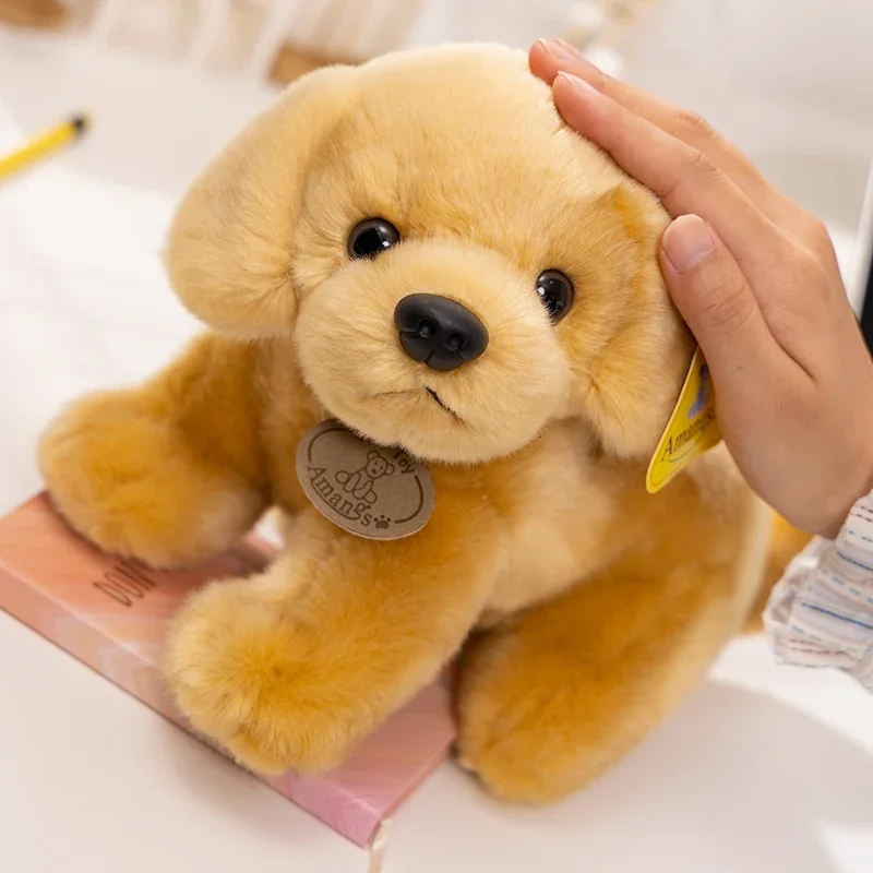 Boneca macia e realista, brinquedos de pelúcia Golden Retriever com charme, animais Kawaii, presente fofo para menina