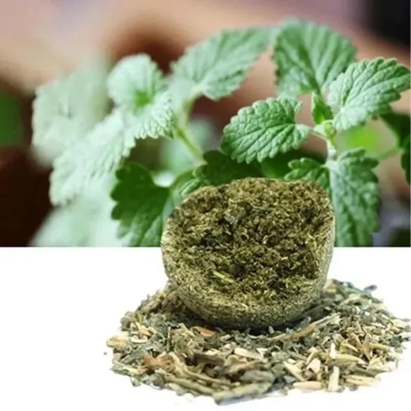 10 Pcs 15mm Healthy Natural Mint Ball Catnip Ball Playing Toy Molars Supplies Pet Snacks Cat Supplies