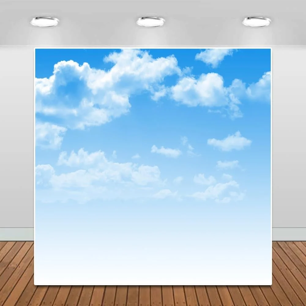 

Blue Sky White Clouds Sunshine Scenery portrait party photo background photography backdrops banner studio