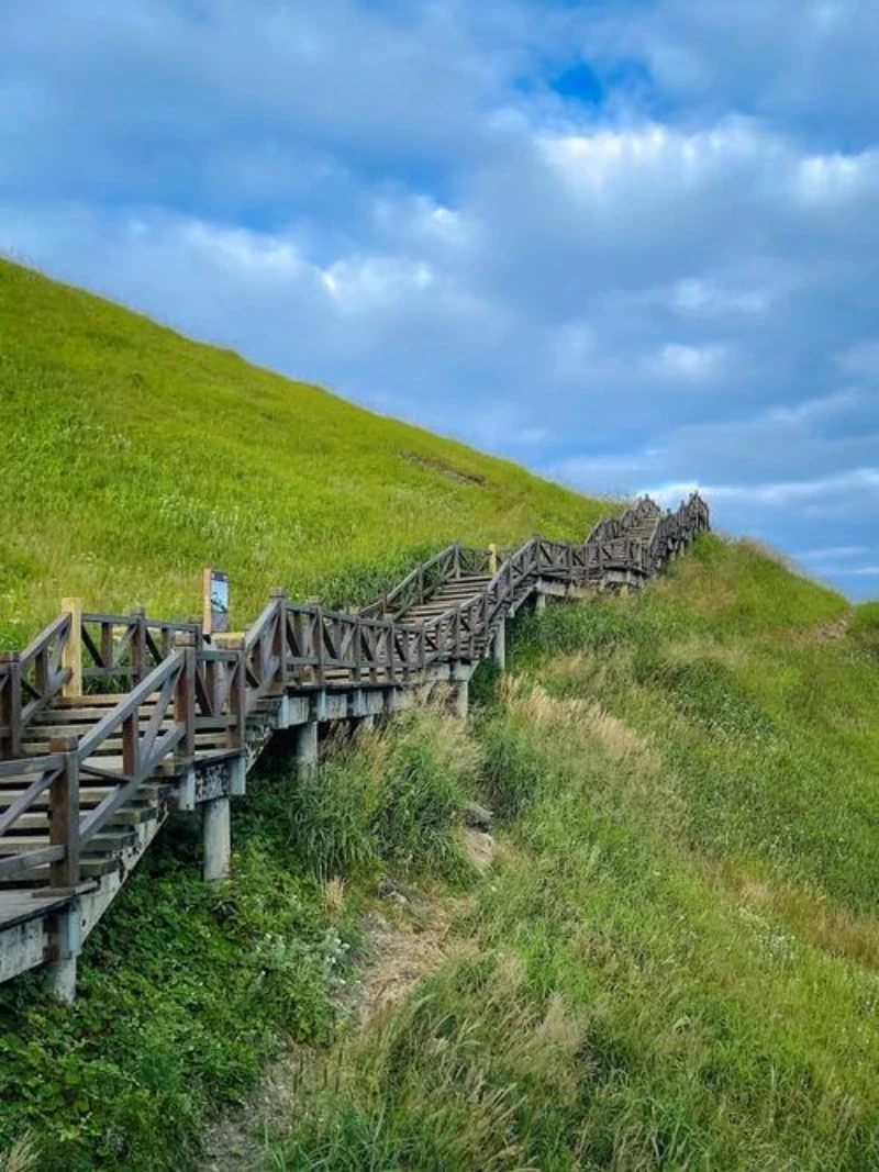 

2 шт. удлинители подрулевых лепестков переключения передач из карбона и ABS для MG MG5 2021-2023, MG6 2013-2023, HS 2018-2020