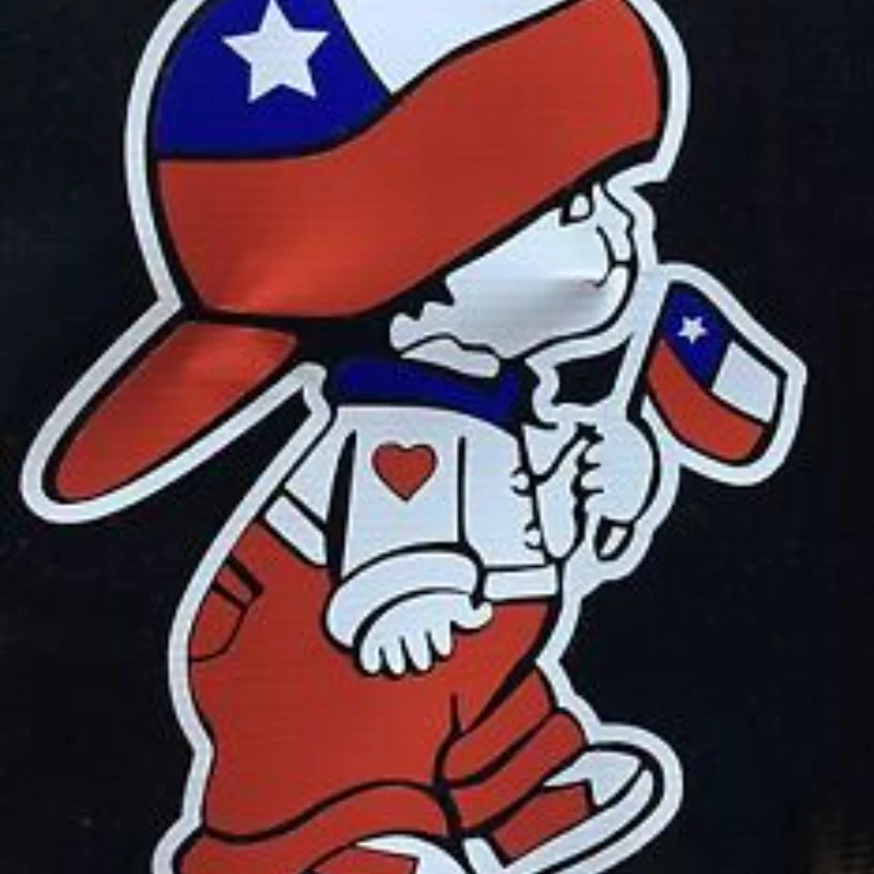 A high-end car sticker “with a Chilean boy holding a Chilean flag.”