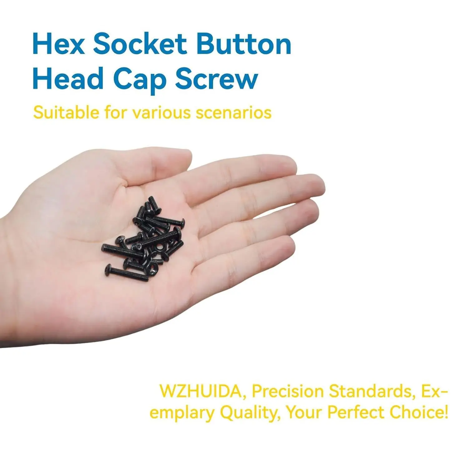 300Pcs M4 Metric Screw Assortment Button Head Socket Cap Bolt Nut Washer Black Grade 8.8